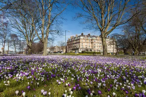 harrogate in spring