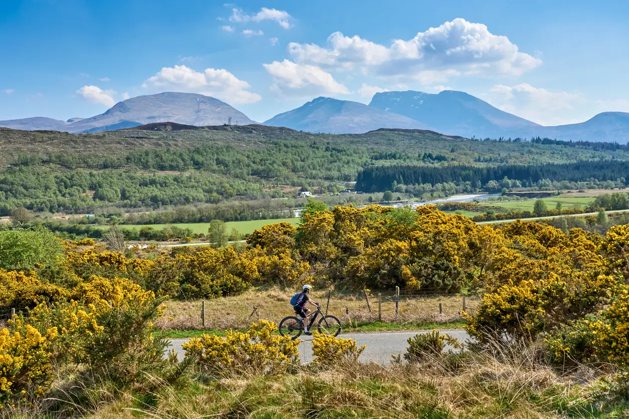 Cycleplan: Claims Index